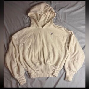 Aerie Men's Off-White Hooded Sweater